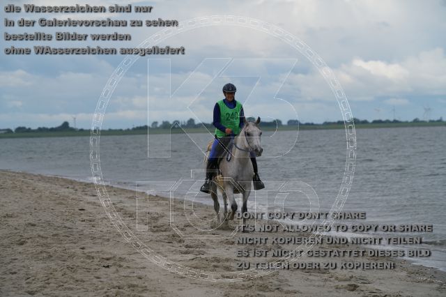 s_K3F04932.JPG